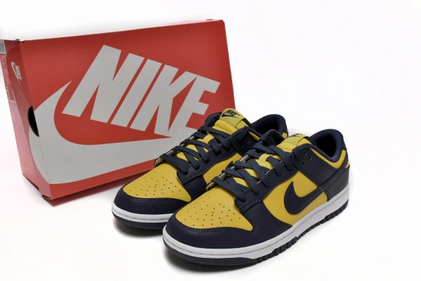 Replica Nike Dunk Lows Michigan DD1391-700