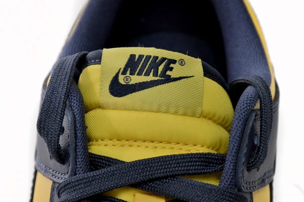 Replica Nike Dunk Lows Michigan DD1391-700