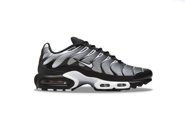 Nike Air Max Plus Black Silver White DM0032-003 - Image 4